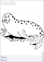 coloriage-otarie-1